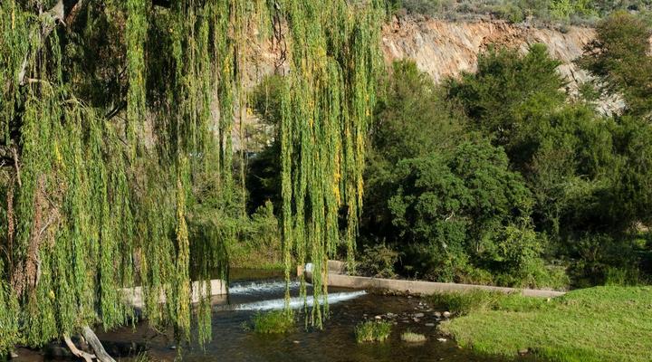 Old Mill Country Lodge, Working Ostrich Farm & Restaurant