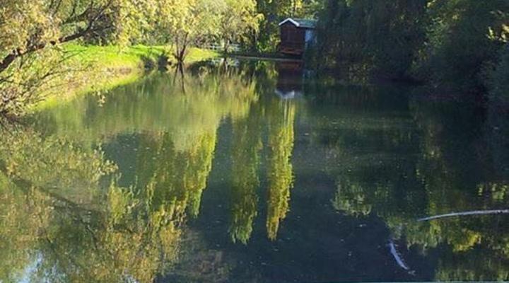 Old Mill Country Lodge, Working Ostrich Farm & Restaurant