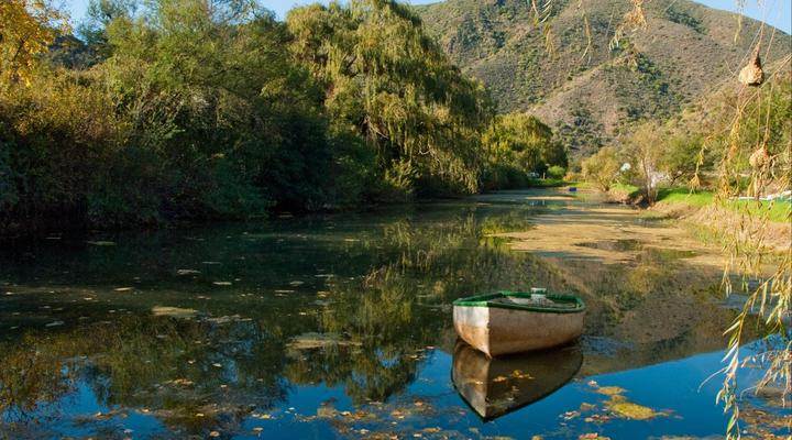 Old Mill Country Lodge, Working Ostrich Farm & Restaurant