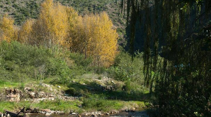 Old Mill Country Lodge, Working Ostrich Farm & Restaurant