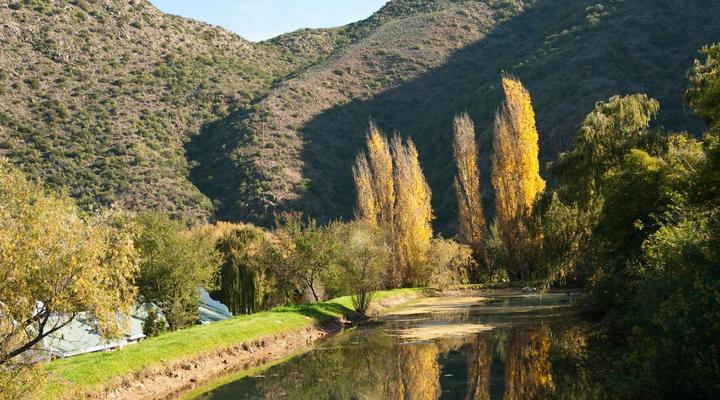 Old Mill Country Lodge, Working Ostrich Farm & Restaurant