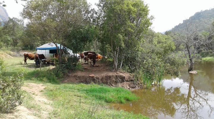 Thabaphaswa Mountain Sanctuary