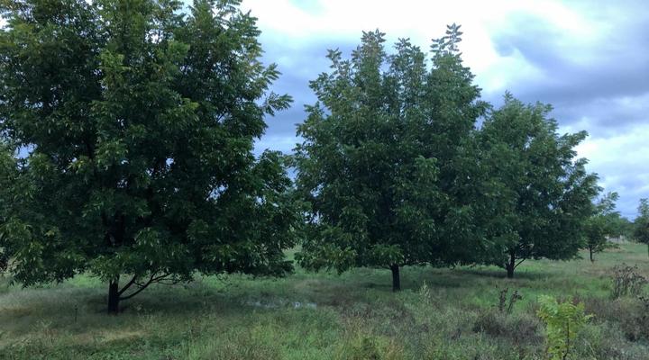 At The River Guest House