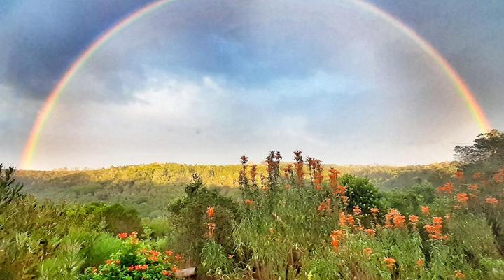 Woodlands Self-catering