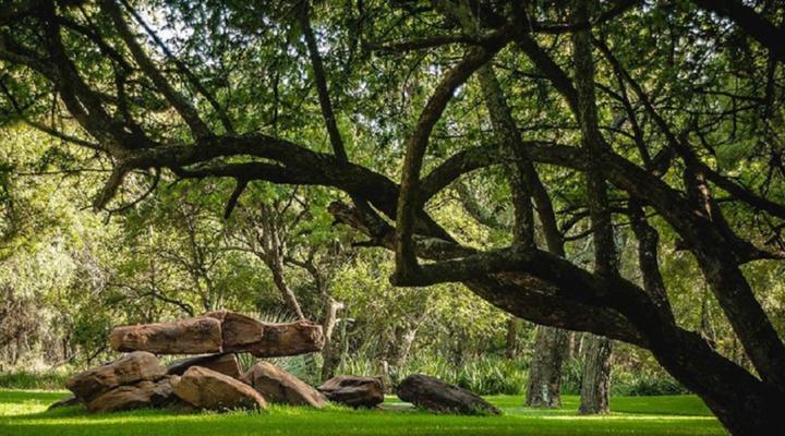 Alpetra Nature Reserve