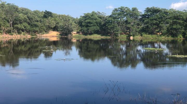 Alpetra Nature Reserve