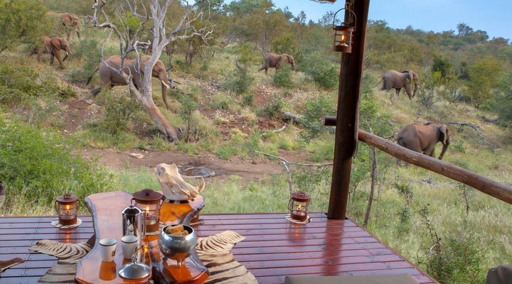 Ximongwe Safari Camp