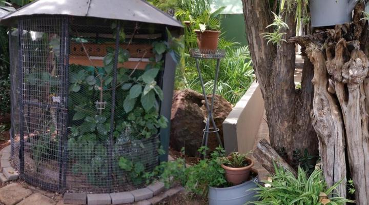 Country Blue Luxury Guest House