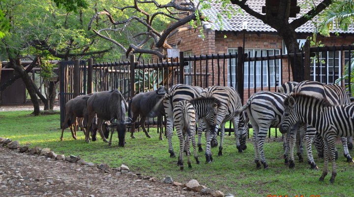 Getaway Bush Marloth Park
