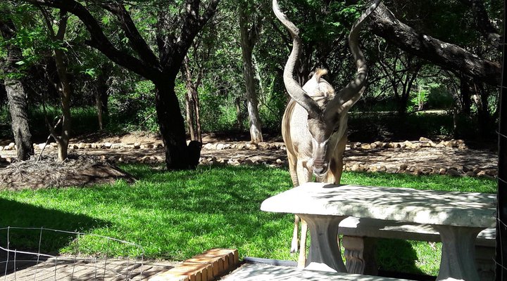 Getaway Bush Marloth Park