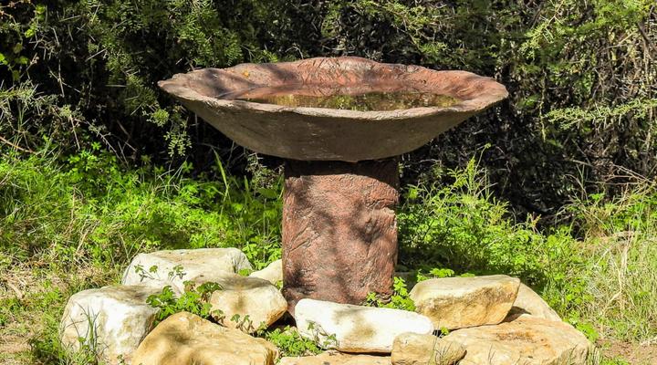 Rietfontein Guest Farm