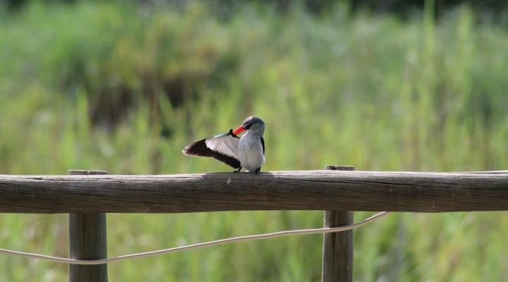 De Villa River Resort