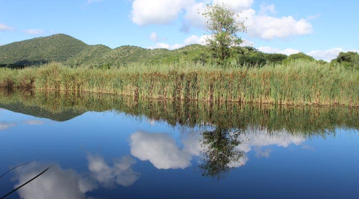 De Villa River Resort