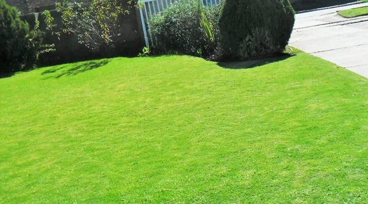 Khol Newman B&B and Guest House