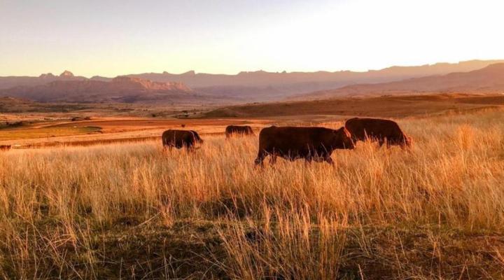 Kezlyn Farm Cottages