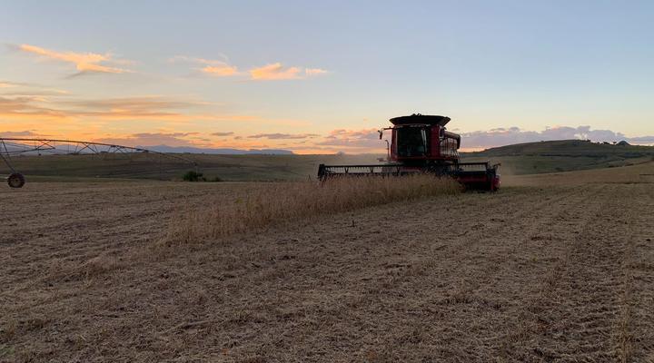 Kezlyn Farm Cottages