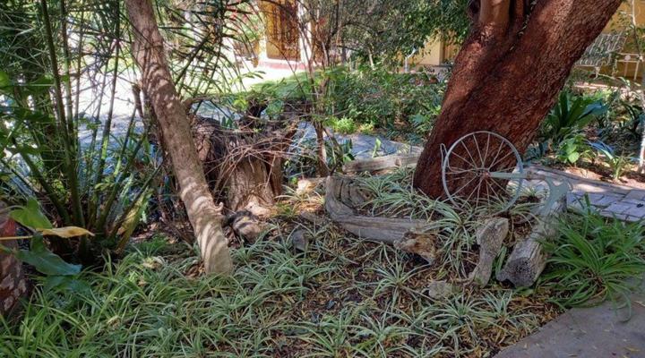 Avondrust Guest House