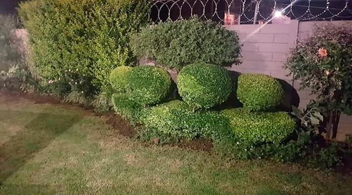 Vicky B Bed & Breakfast