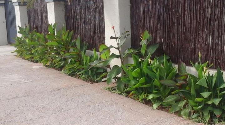 Vicky B Bed & Breakfast