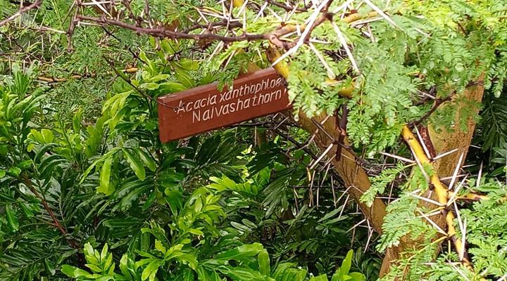 The Great Sagana Resort