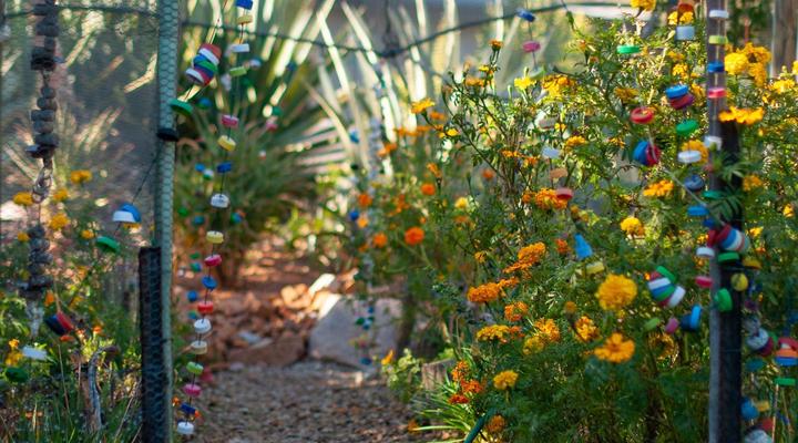 Hebron Guesthouse, Restaurant & Farmstall