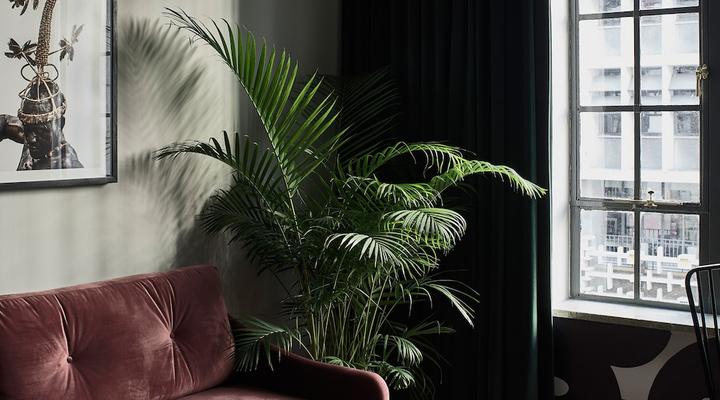 Gorgeous George by Design Hotels