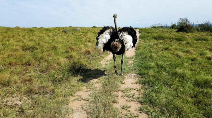 Areena Riverside Resort & Private Game Reserve