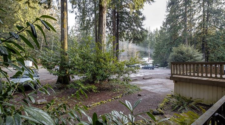 Snowline Lodge Condo #36