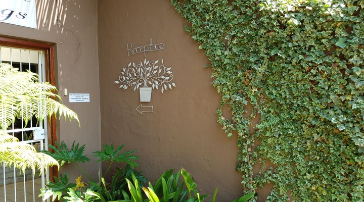 Bloem Guest House