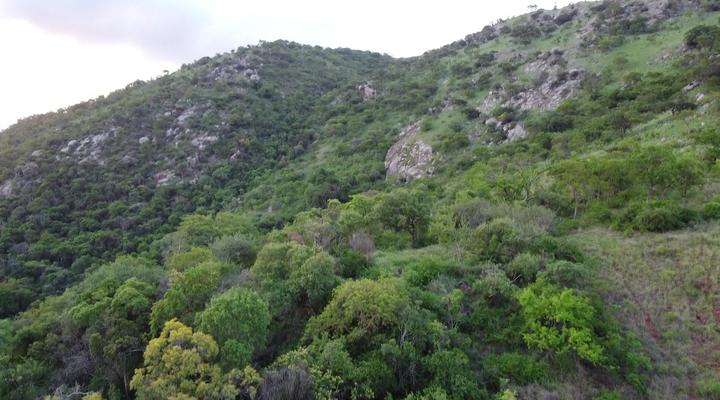 Mountain Rock Cottage