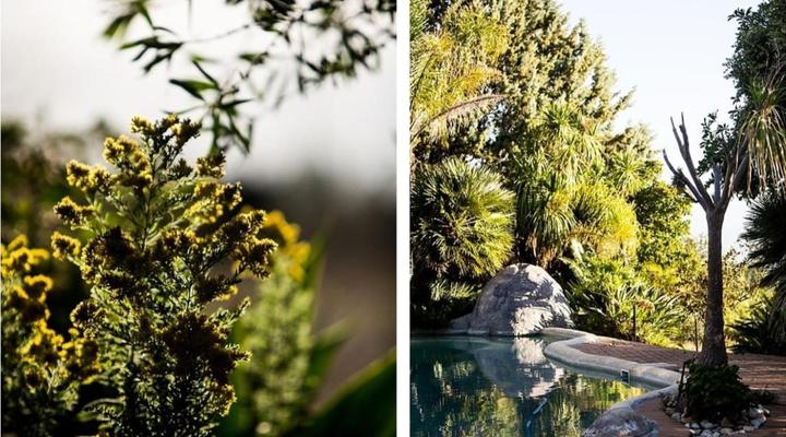 Mountain Haven Villa