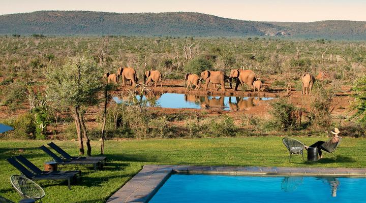 Madikwe Safari Lodge