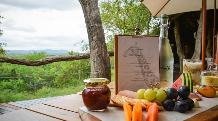 Madikwe Safari Lodge