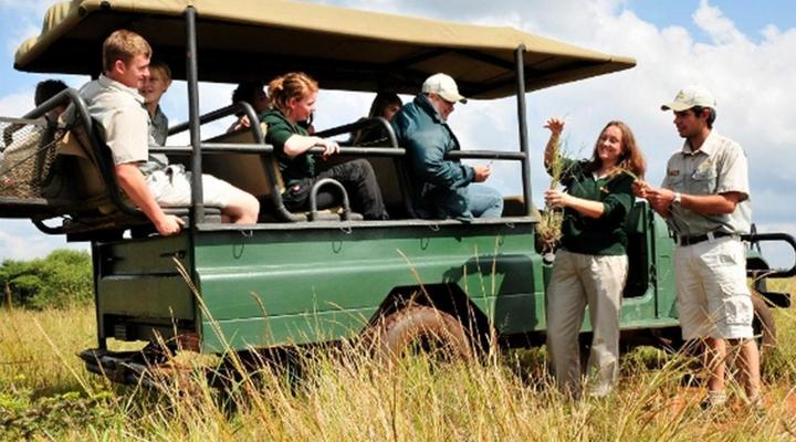 Sondela Nature Reserve & Spa Tambuki 4x4 Camp