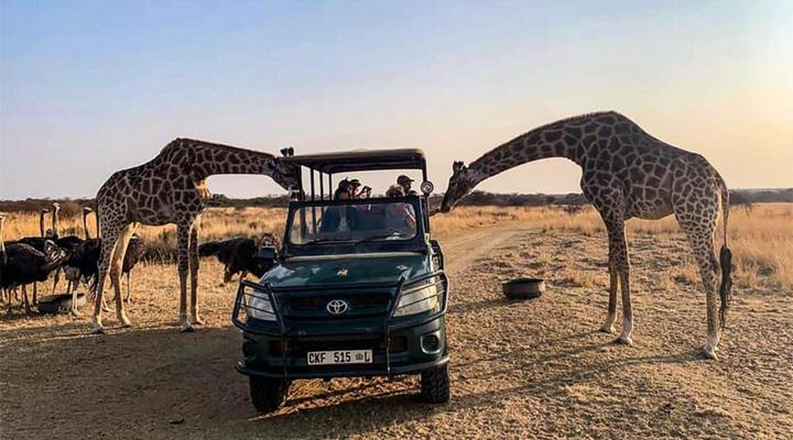 Sondela Nature Reserve & Spa Tambuki 4x4 Camp
