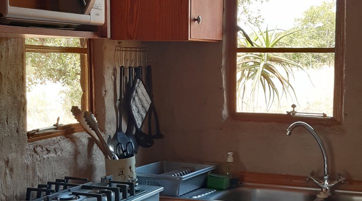 Five Pebbles on Piece of Africa