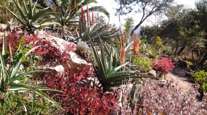 Roosfontein Bed and Breakfast and Conference Room