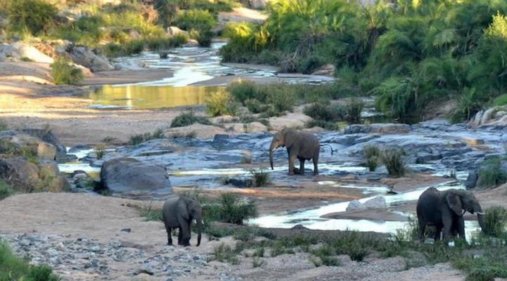 Greenfire Game Lodge