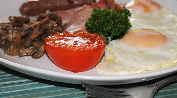 Chestnut Country Lodge