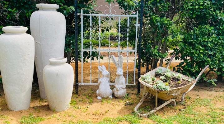 Biekiesvlei Air BnB and Coffee Shop