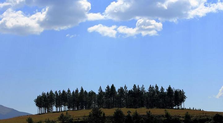 The Sabie Town House Guest Lodge