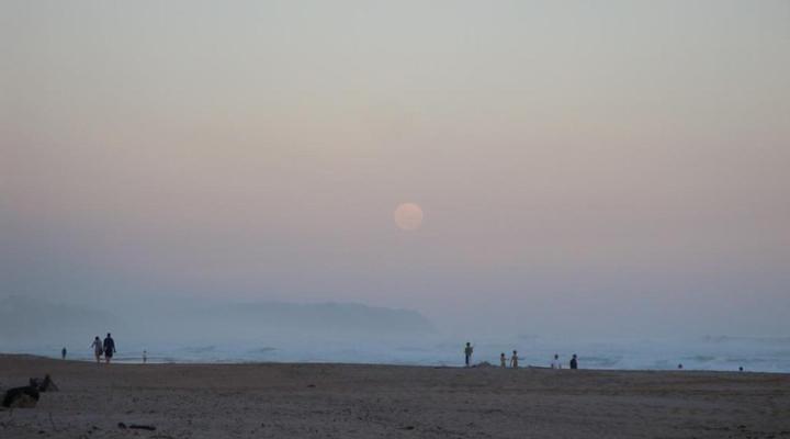 Mont Fleur - Wilderness