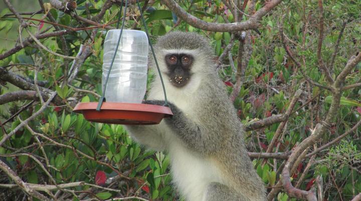 Melkhoutkloof Guest House