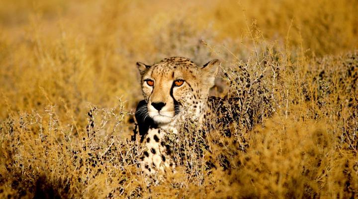 Inverdoorn Game Reserve