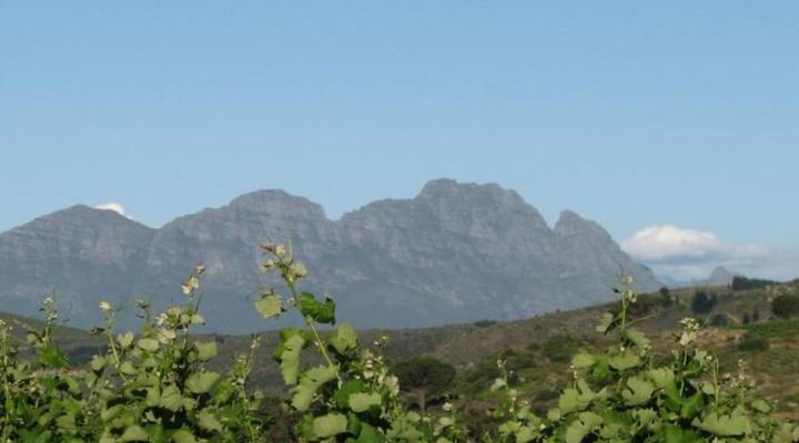 Zevenwacht Wine Estate