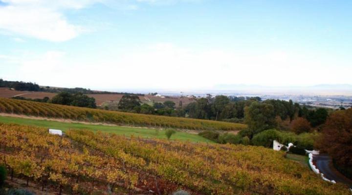 Zevenwacht Wine Estate