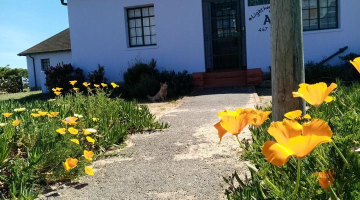 Lighthouse Farm Lodge & Backpackers