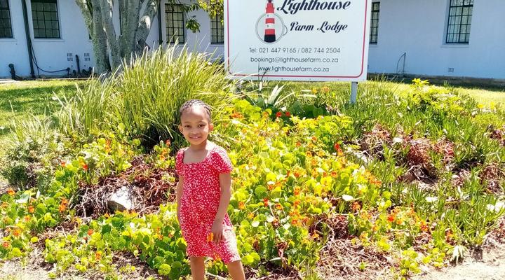 Lighthouse Farm Lodge & Backpackers