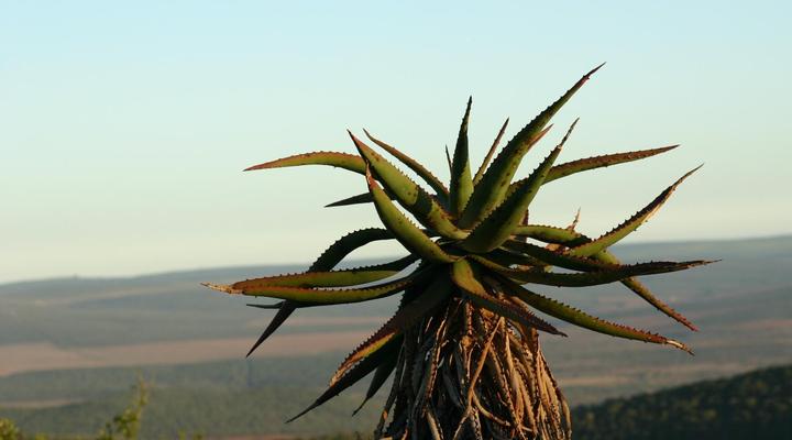 Woodall Country House & Spa