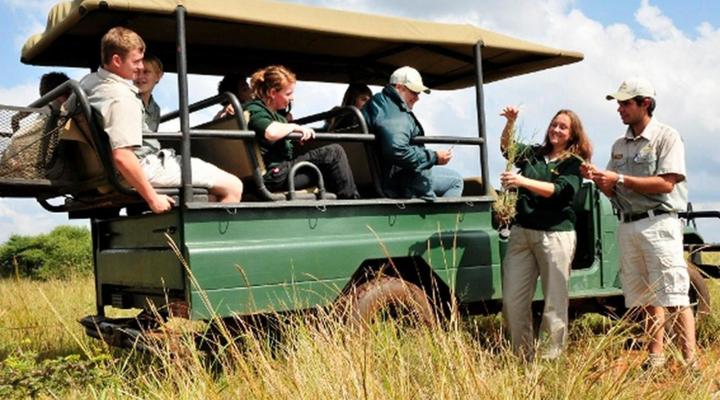 Sondela Nature Reserve & Spa Makhato Lodges